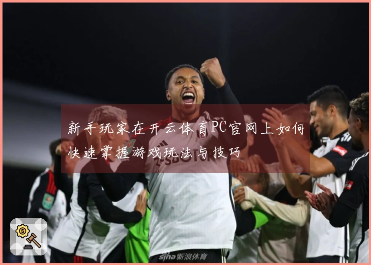 新手玩家在开云体育PC官网上如何快速掌握游戏玩法与技巧